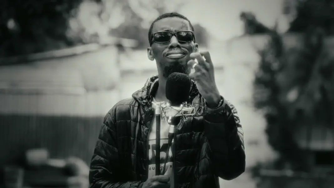 Frè Gabe – Puzzle (video)