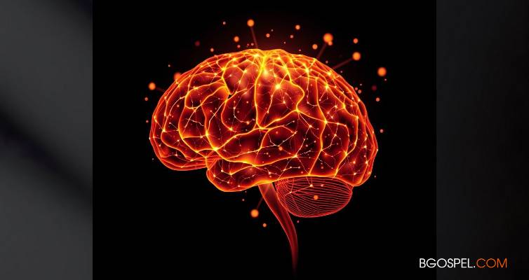 Dekouvèt yo enkwayab nan nerosyans
